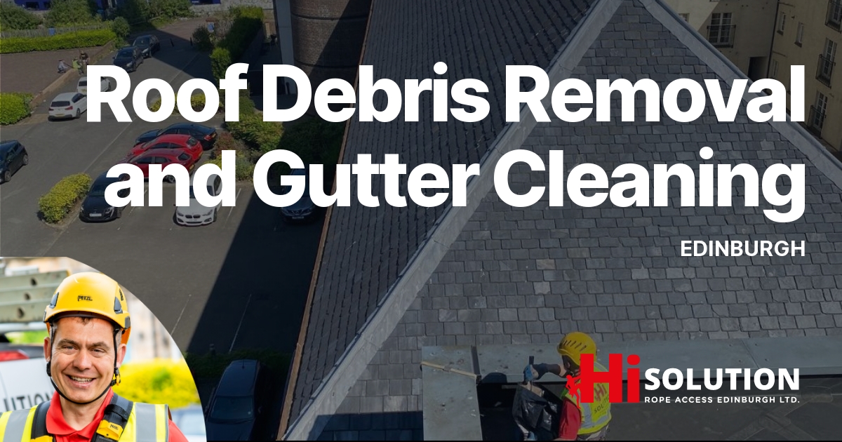 Roof Debris Removal and Gutter Cleaning