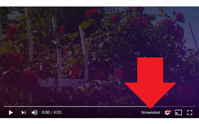 Screenshot Youtube is an easy to use Screenshot Chrome extension for video