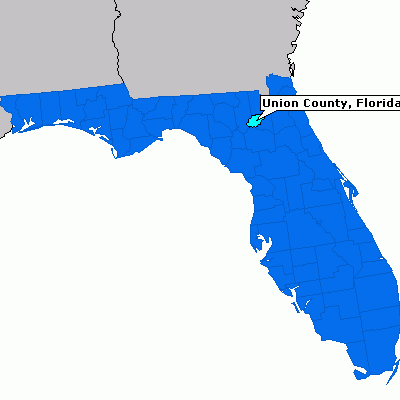 Union County, Florida - Tax Lien & Tax Deed Sale Information
