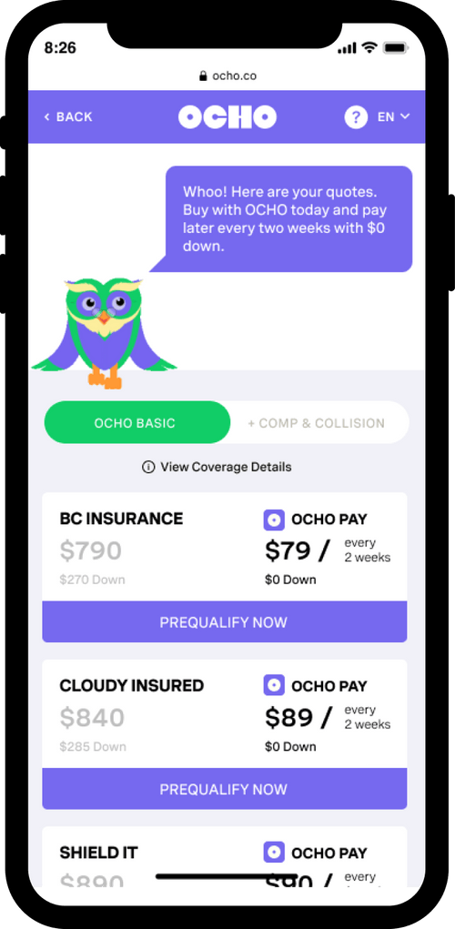 OCHO Insurance A Fair Start