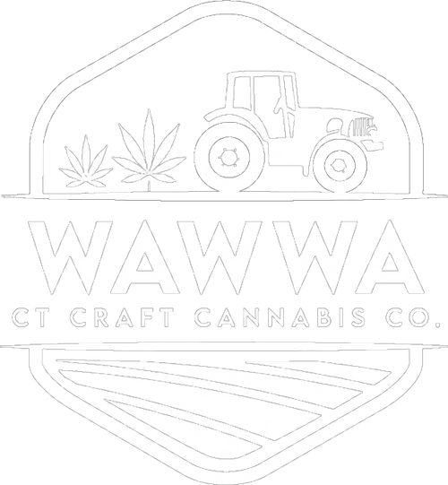 Black Bear Music Fest | Oct 11-13th, 2024