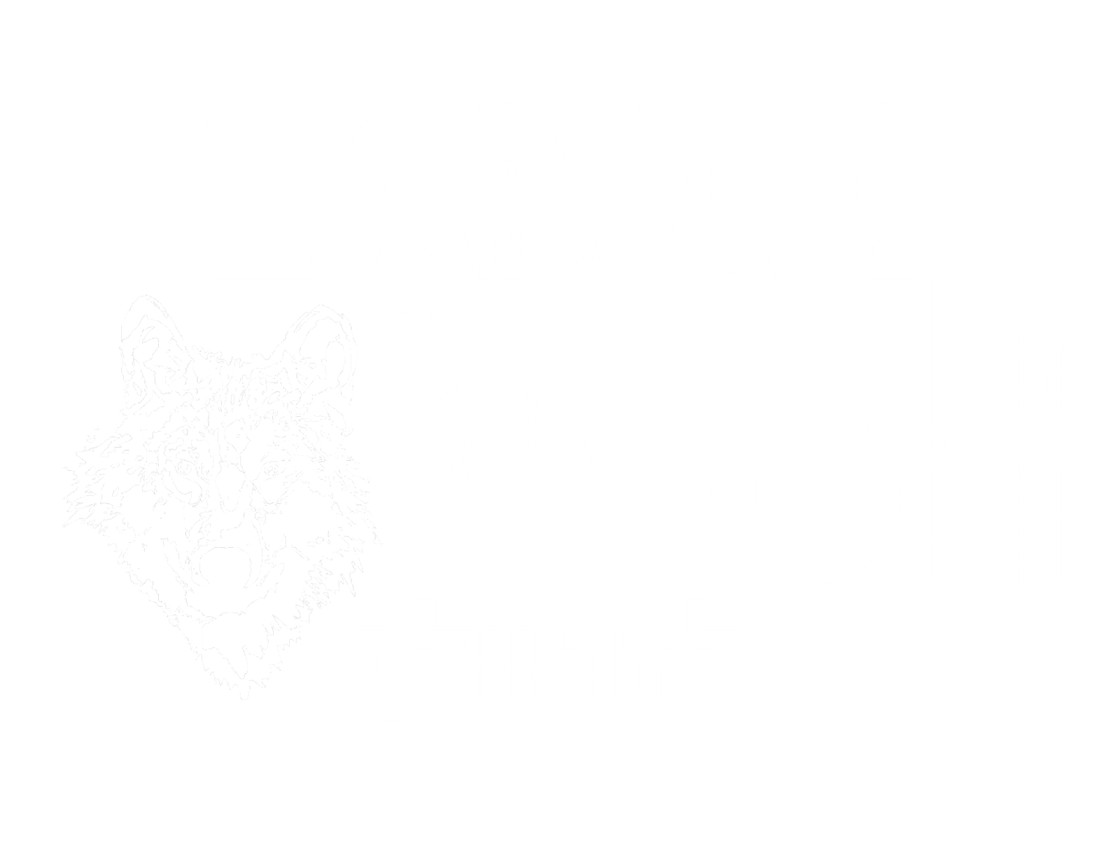 Laser Wolf Israeli Rooftop Restaurant The Hoxton, Williamsburg