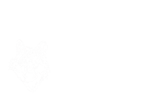 Reservations | Laser Wolf, Israeli Rooftop Restaurant | Brooklyn, New York