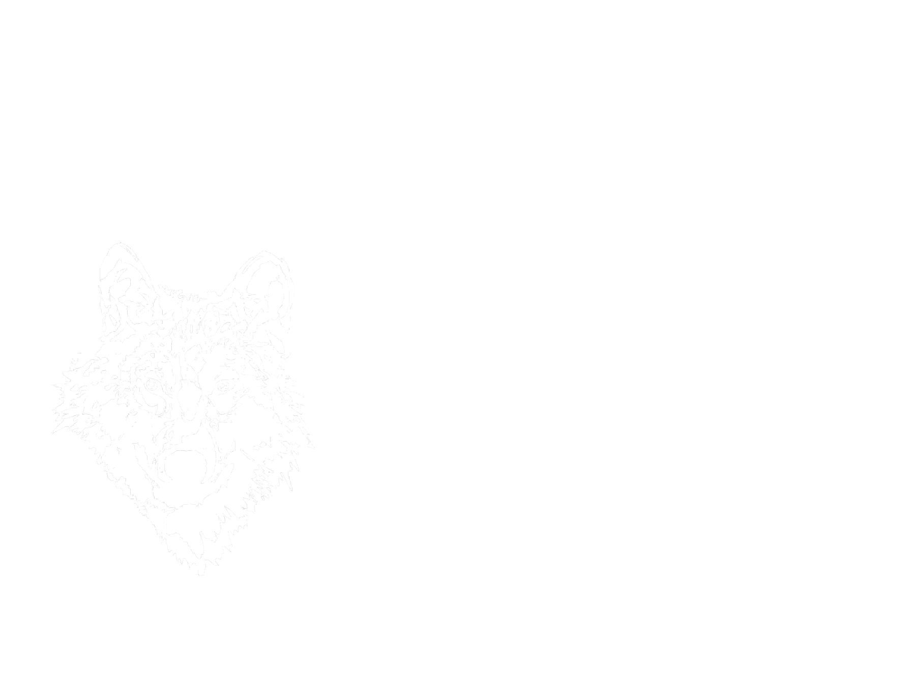 Menus | Laser Wolf, Israeli Rooftop Restaurant | Brooklyn, New York