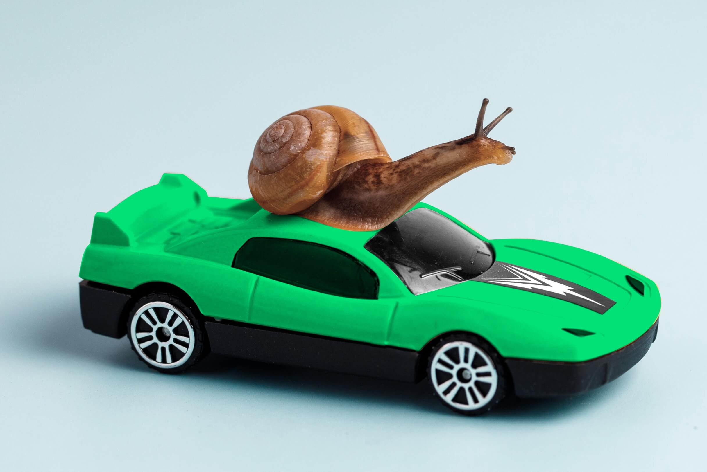 Snail using one of his goal setting tools - riding on a green car
