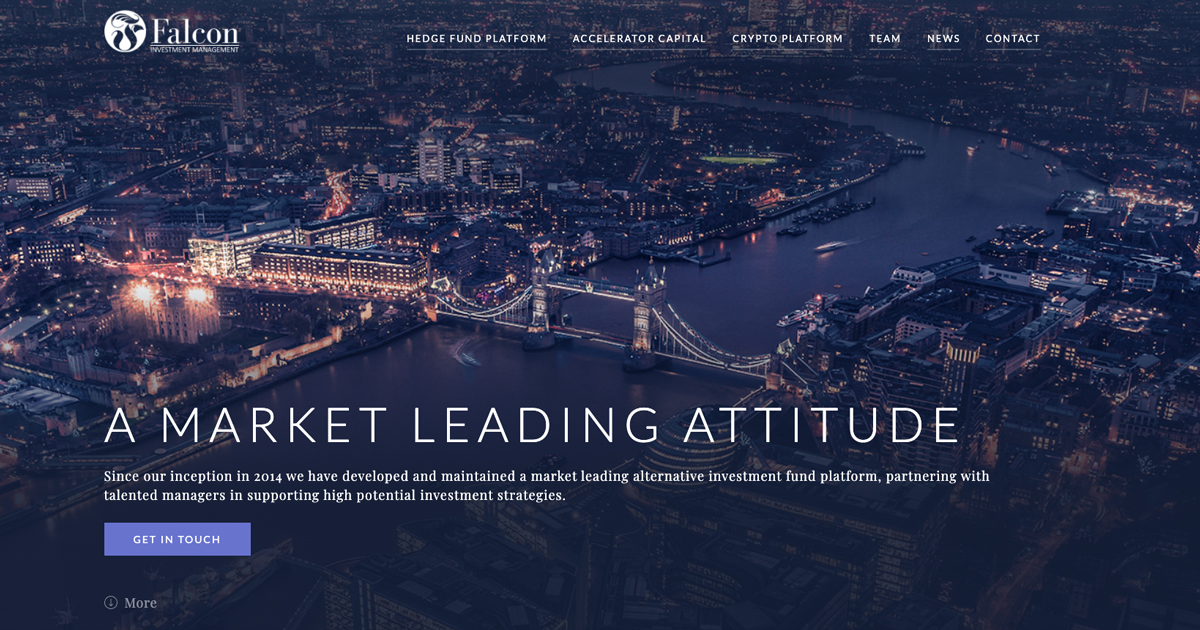 Falcon Investment Management