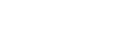 BigID Logo