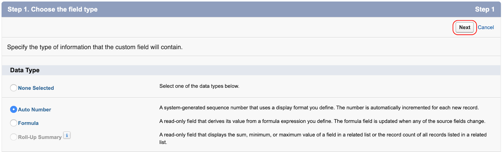 Creating the auto number field in Salesforce