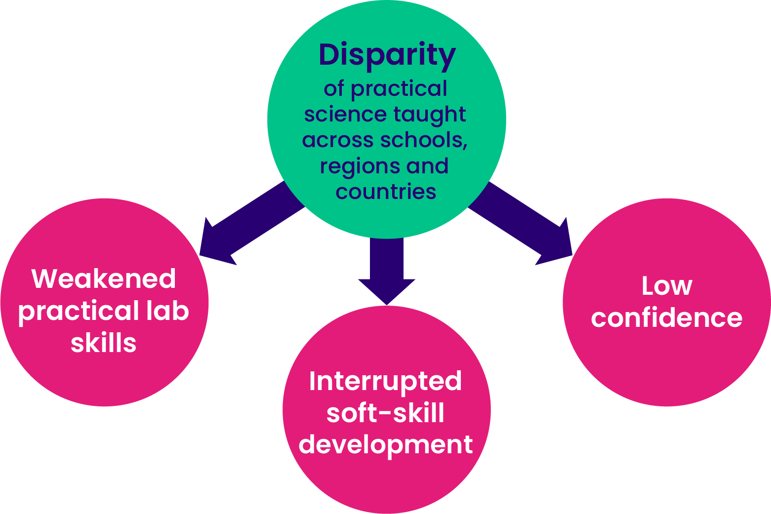 Infographic showing impacts; weakened practical lab skills, interrupted soft skill development and low confidence