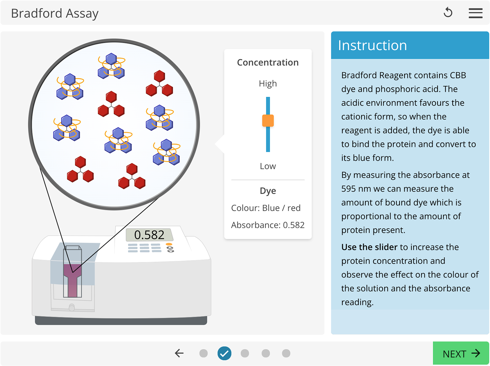 Screenshot showing an activity where students explore the effect of changing protein concentration on the colour of the solution and the resulting absorbance reading during the Bradford Assay.