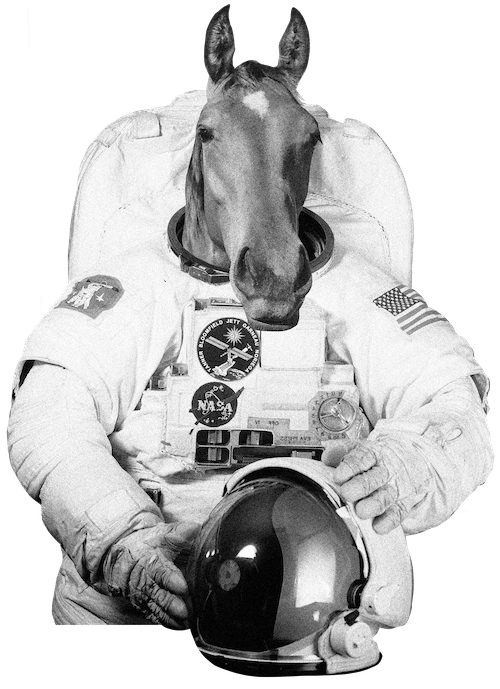 Pferd, das aussieht wie ein Astronaut