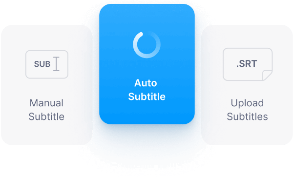 Manually type, auto transcribe, or upload subtitle file