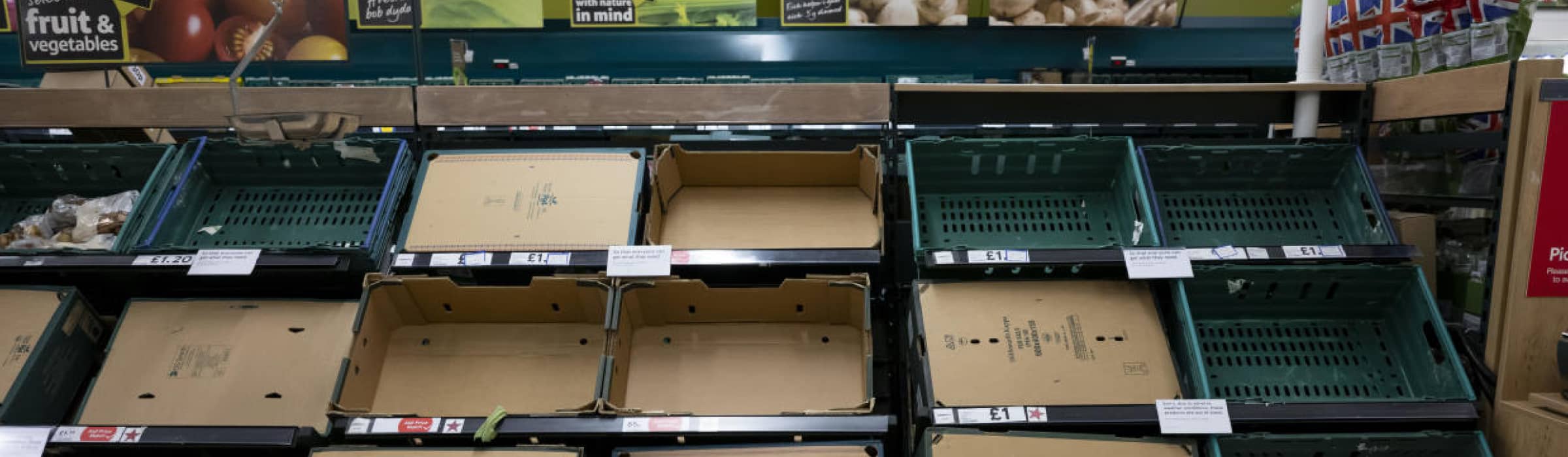 4 reasons why are shelves are empty SKOOT