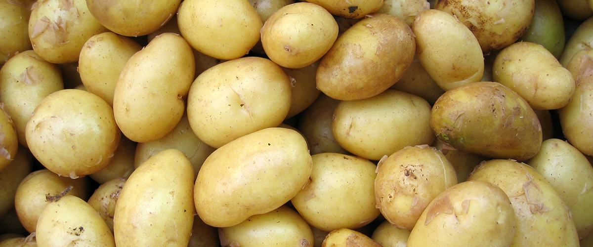 Can You Remove a Potato’s Carbs by Cooling?