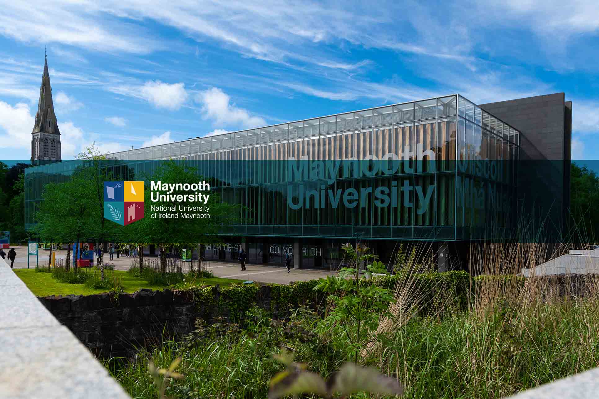 Director of International Recruitment & Conversion, Maynooth University