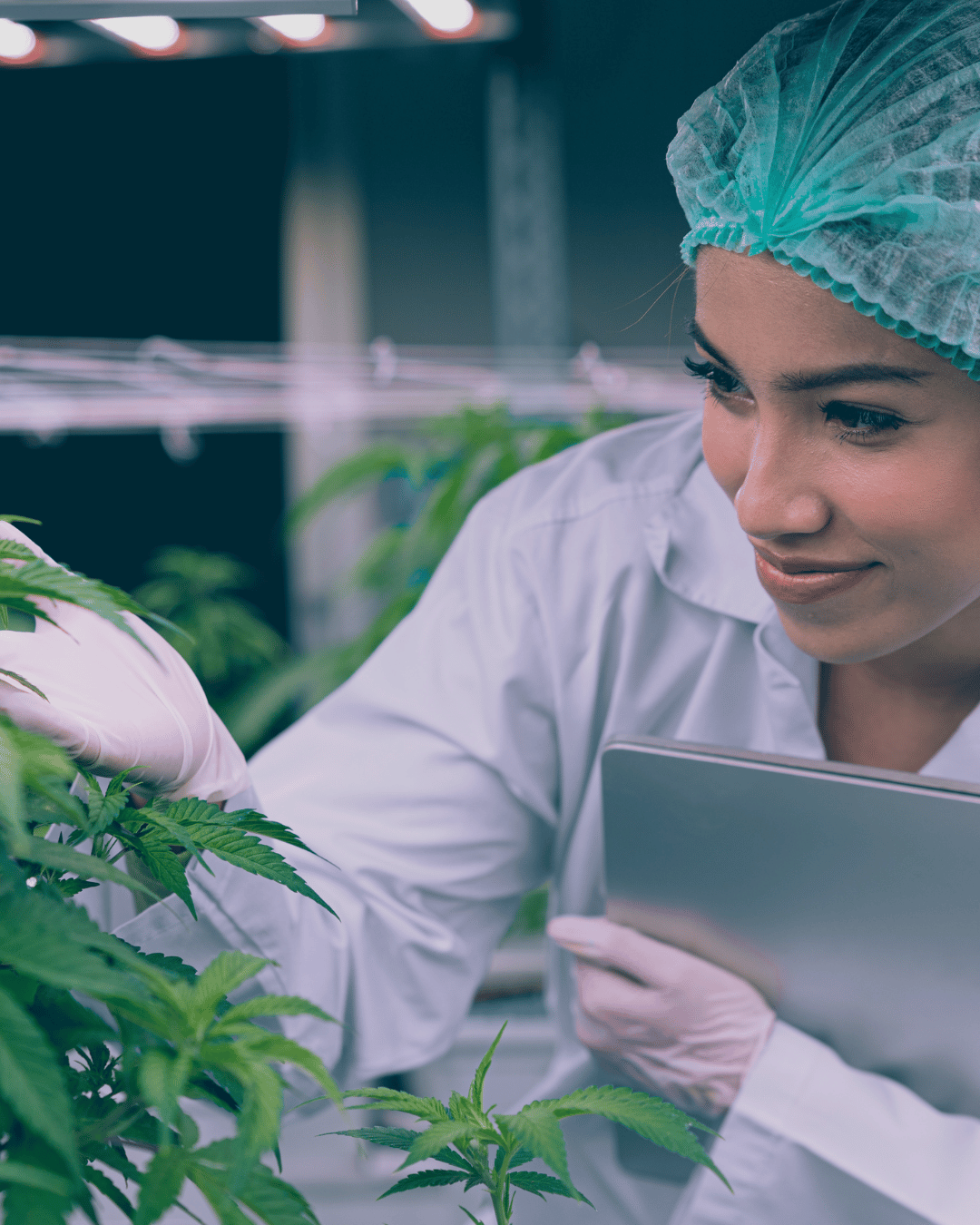 Atrium Valley Village Our Pledge to Quality and Safety Atrium Magazine