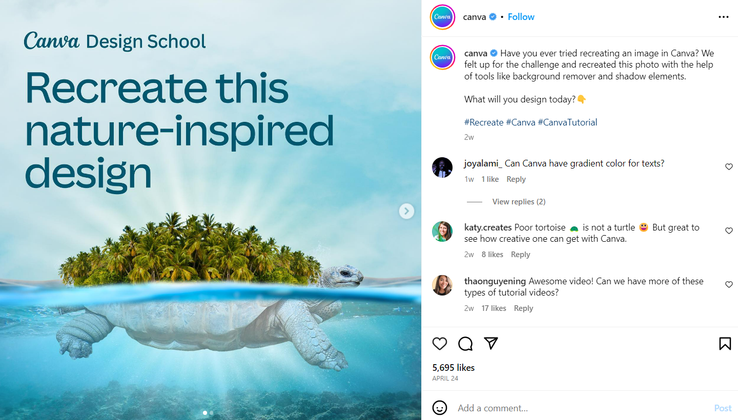 canva instagram post showing a swimming turtle with palm trees above it as its shell