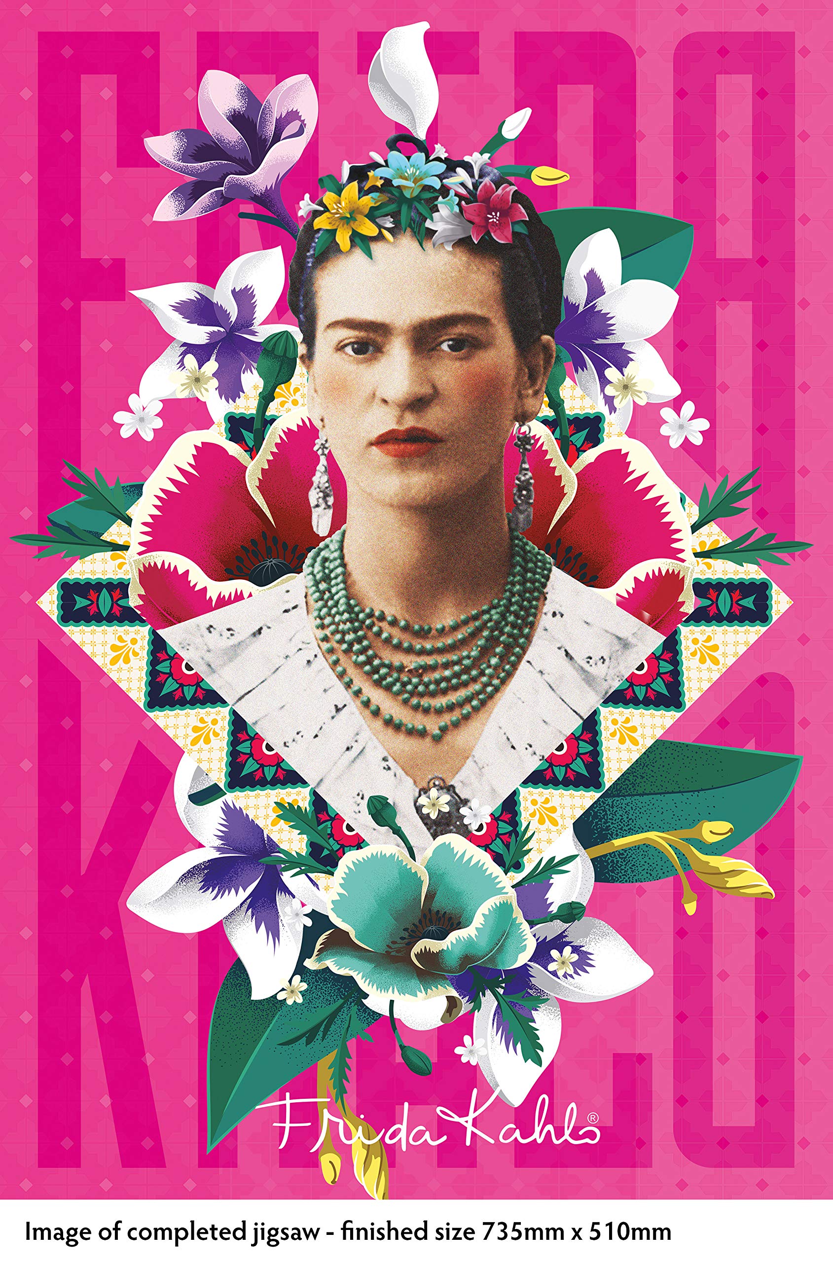 Flame tree publishing frida kahlo pink