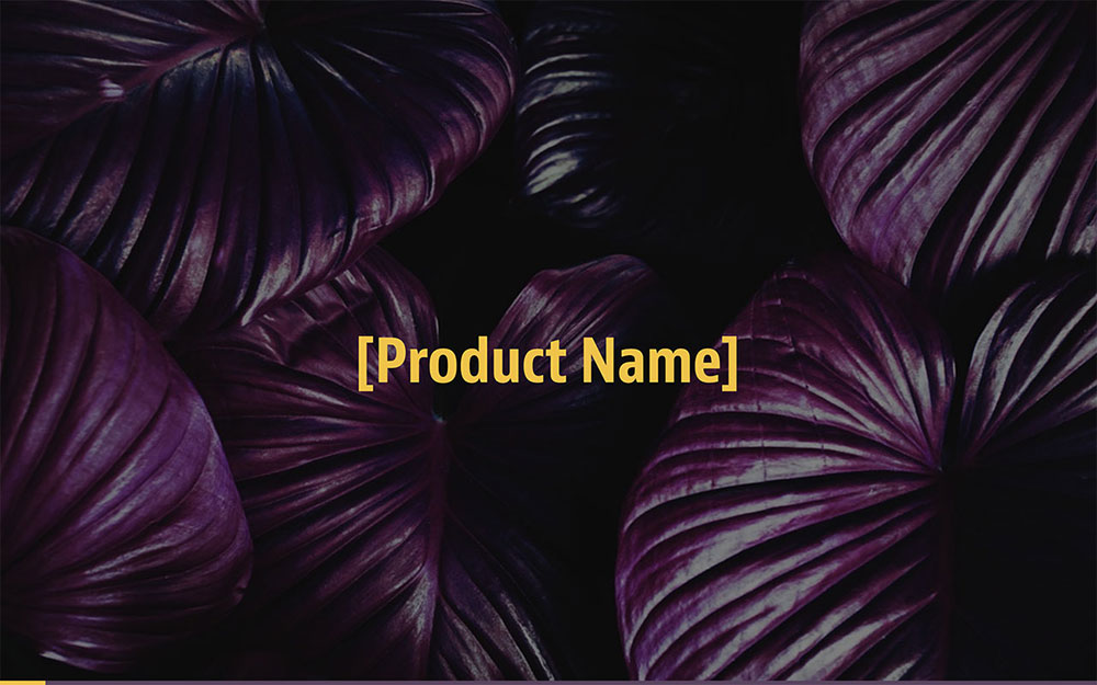 Marketing Strategy Plan Template [Customizable]