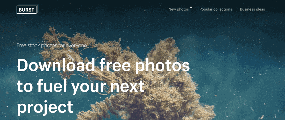 The image contains a burst website