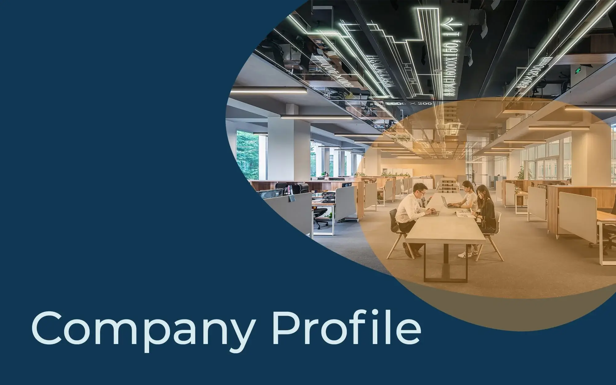 Company profile template cover example