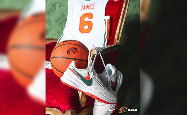 famu nike lebron 18 pe