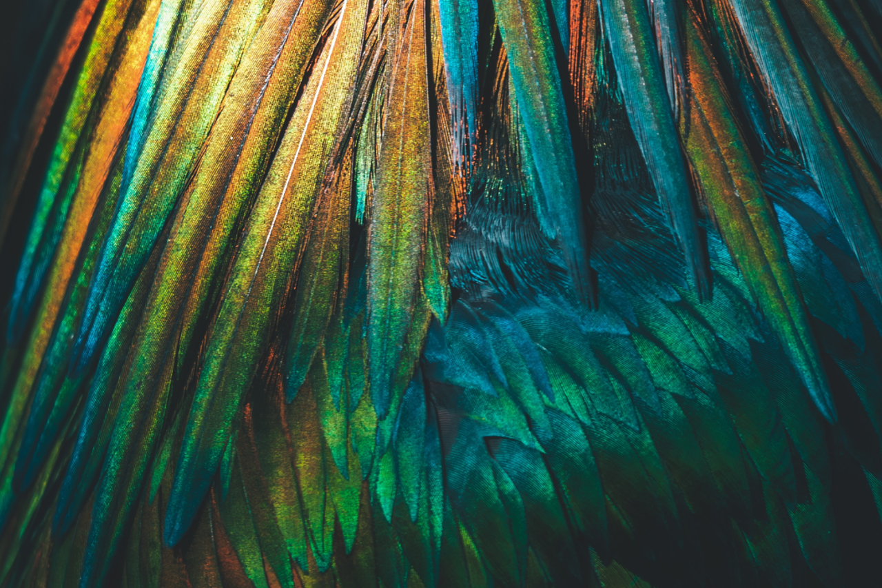 Transmission Directe Projet De Nouvelle Circulaire Finma