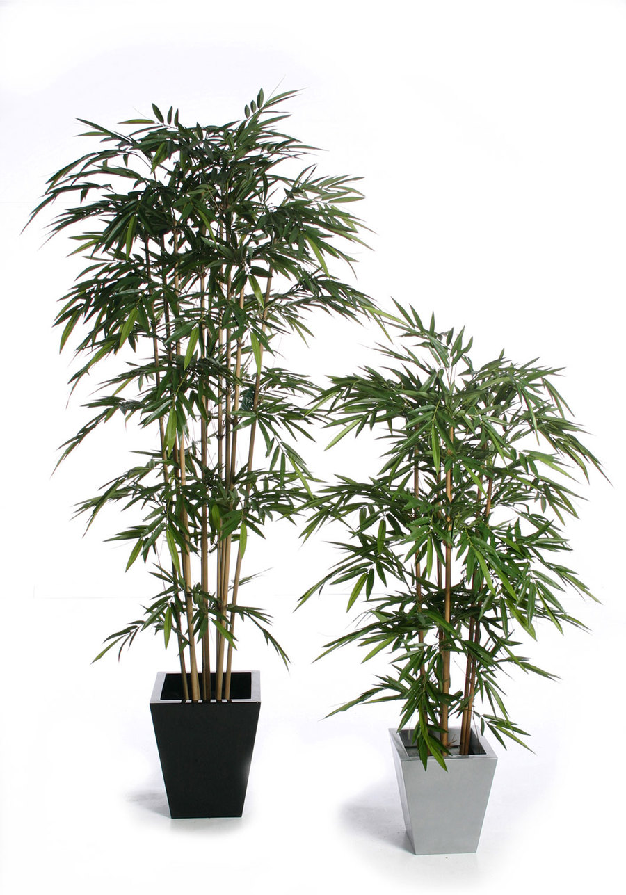 Artificial Tropical Trees from plantART