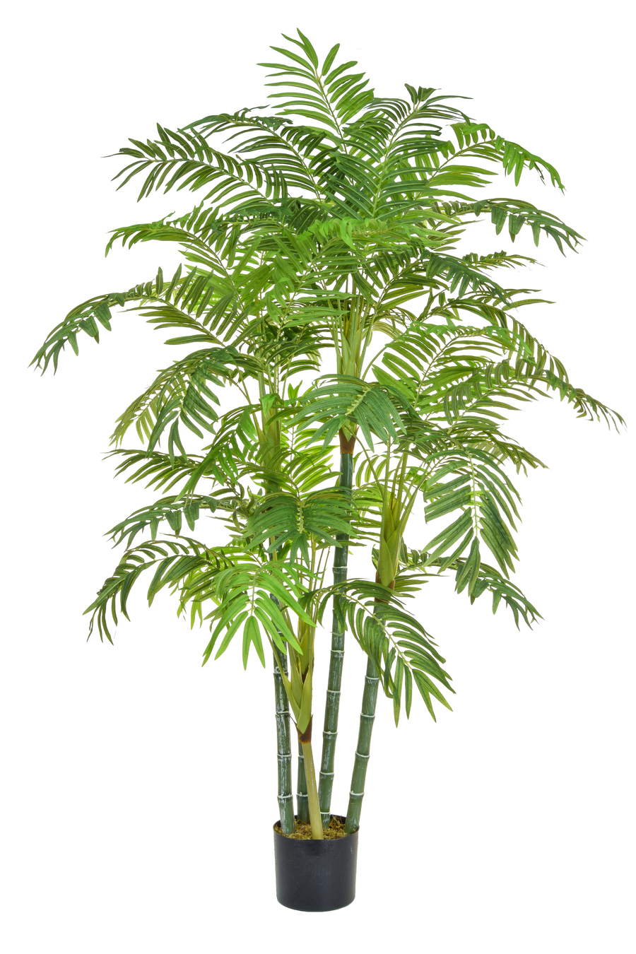 Artificial Tropical Trees from plantART