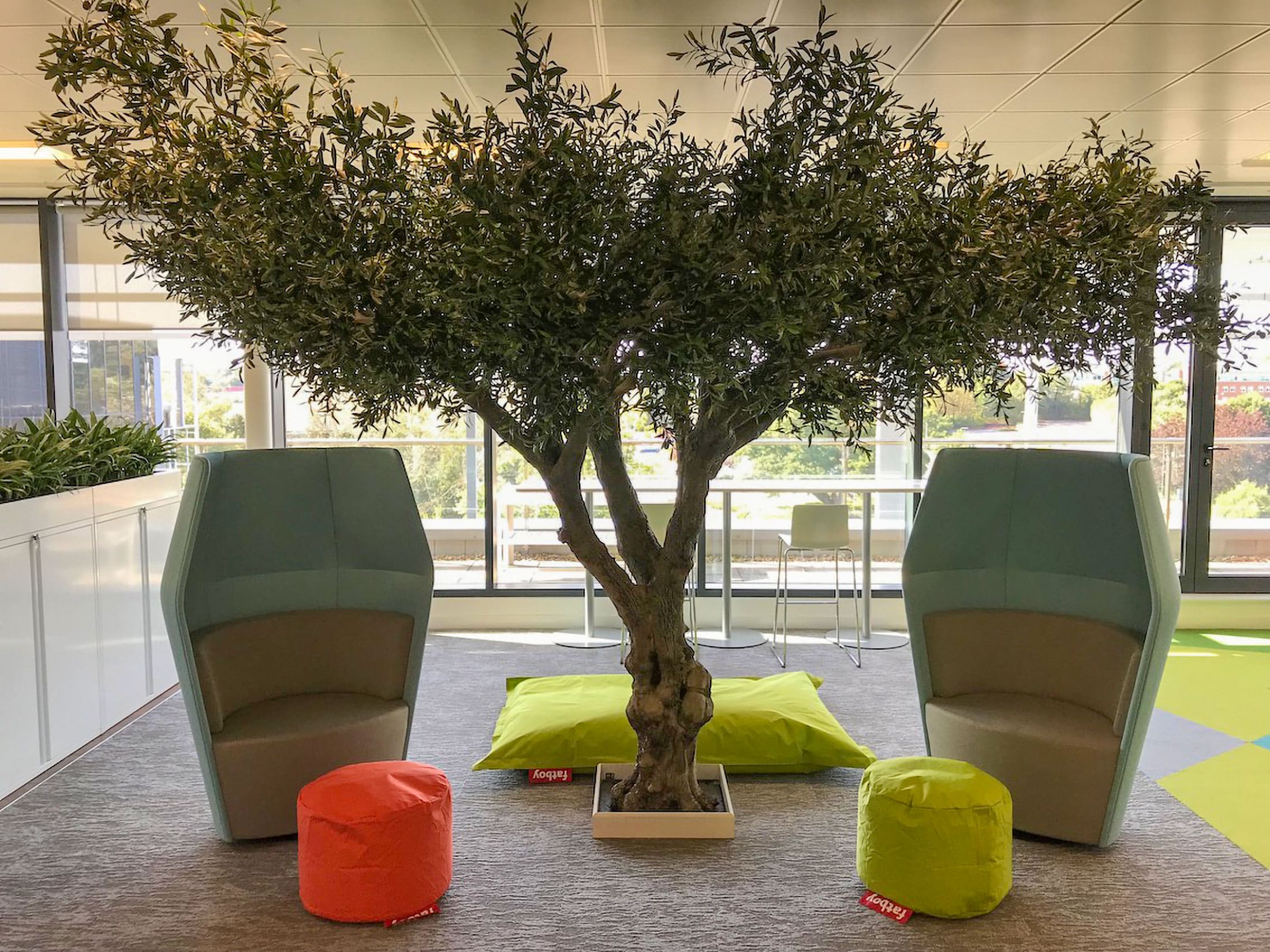 Your Artificial Tree to Your Specifications plantART Artificial