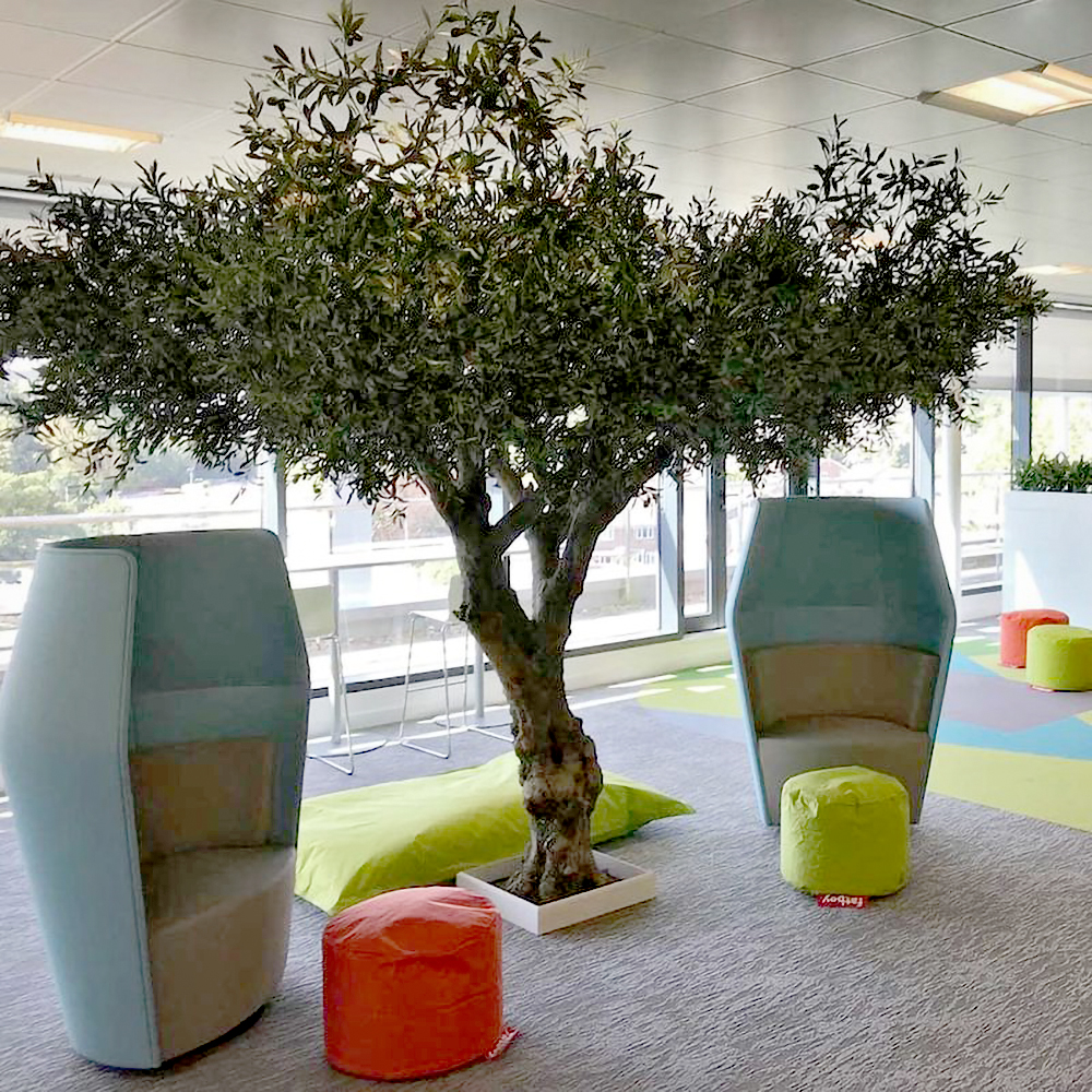 Mini Office Tree A WOW in the office! | plantART | Artificial Trees Blog