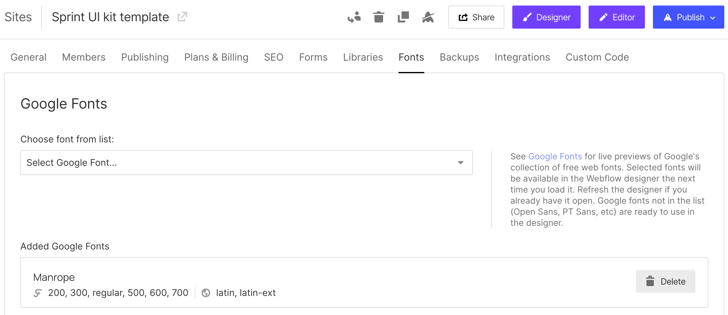 Google fonts in the project settings