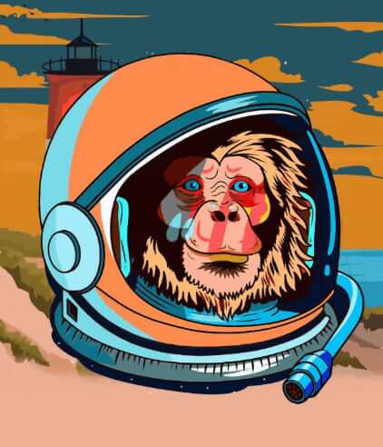 NFT Space Monkey
