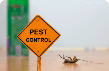 pest-control-blog