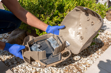 rodent-treatment-ardent-pest