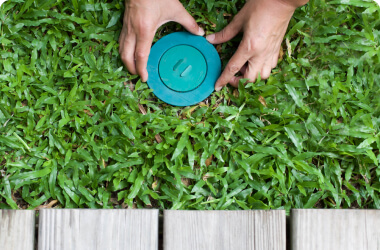 termite-treatment-ardent-pest
