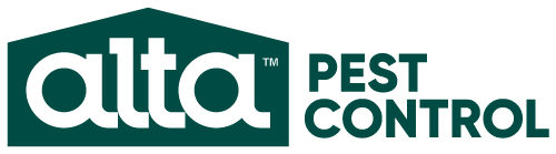 pest control romford