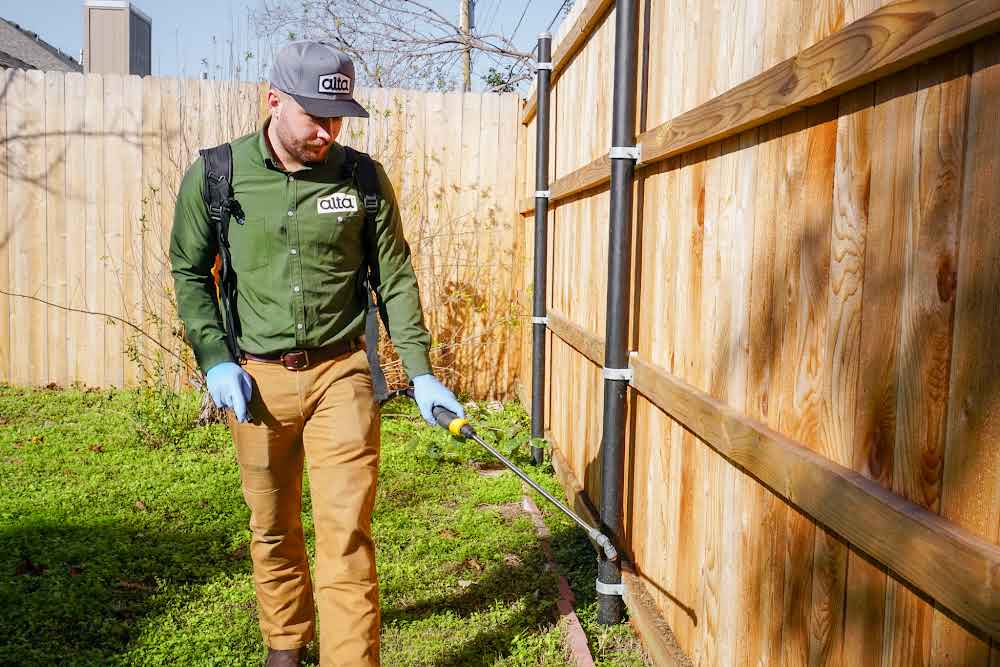 Mosquito Control Services | Alta Pest Control