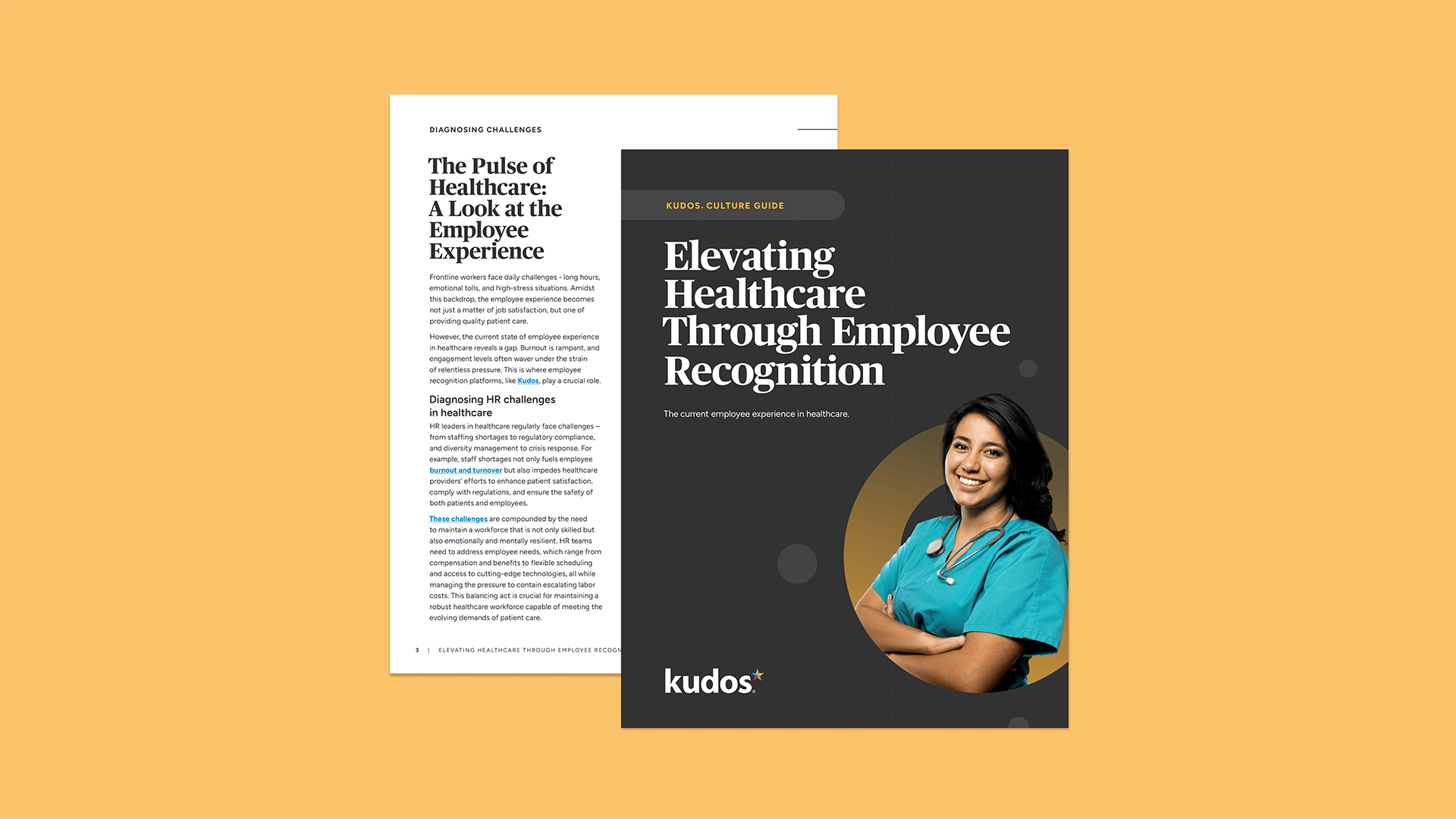 Elevating Healthcare Through Employee Recognition 