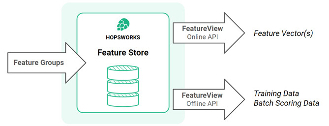 Feature Types for Machine Learning - Hopsworks