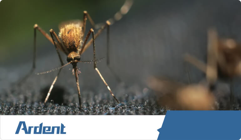 mosquito-control-in-nashville