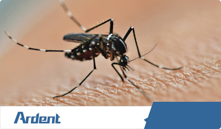 top-notch-mosquito-control