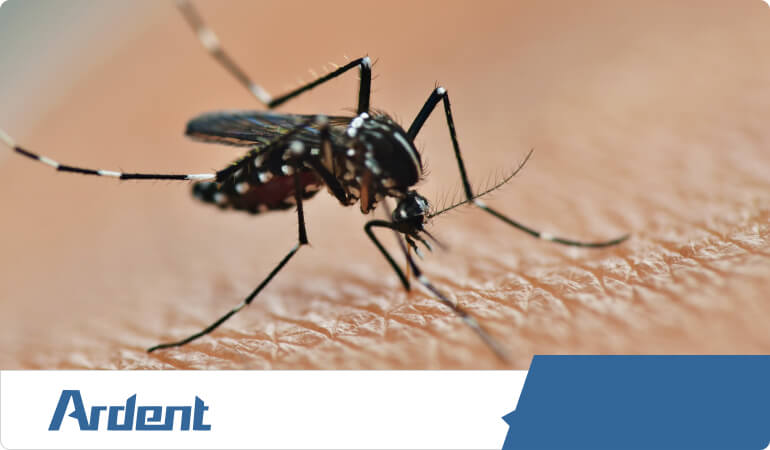 mosquito-control-in-charlotte-nc