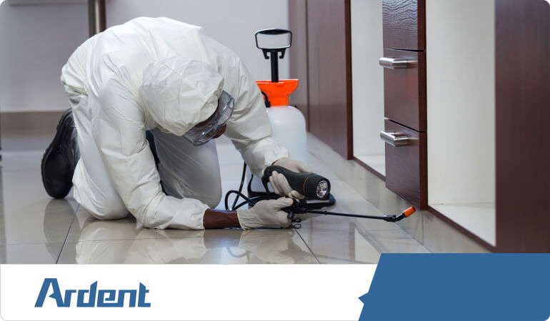 exterminate-and-control-pests-in-tulsa-oklahoma