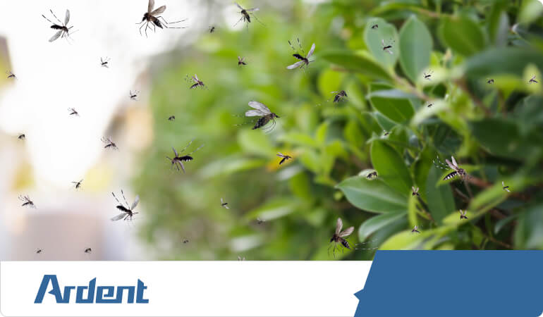 mosquitoes-on-a-screen-protect-customers