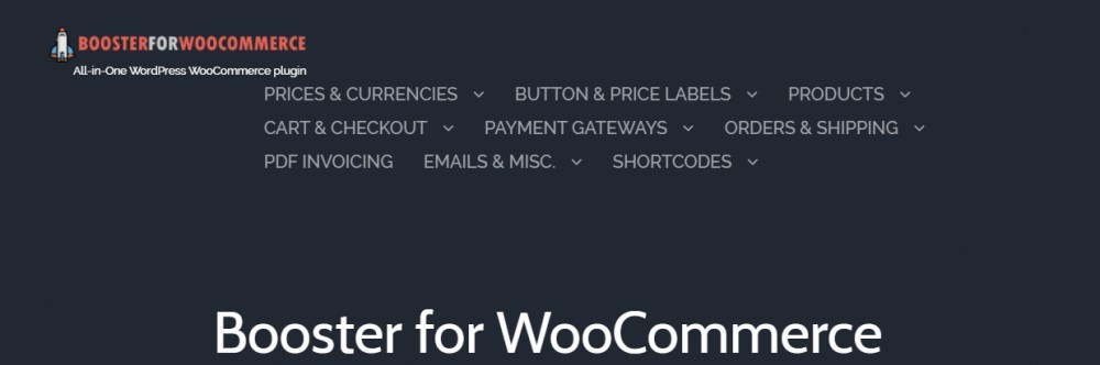 best ecommerce plugins - Booster