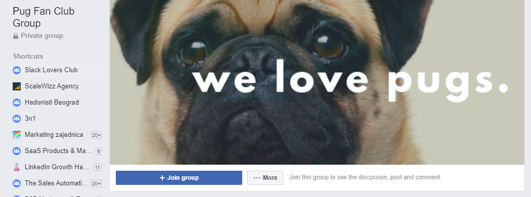 pug group 1