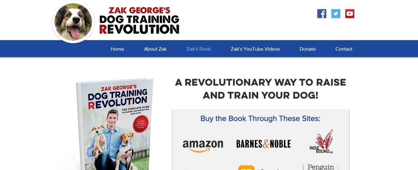 best ecommerce landing pages high converting zak george social proof trust seal dog training revolution top ecommerce landing page