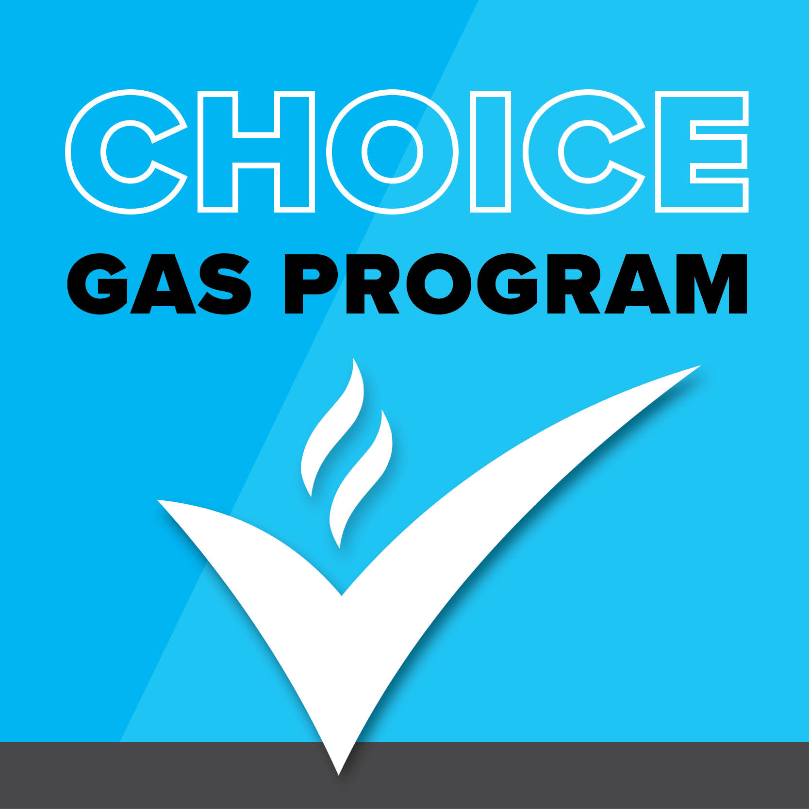 Residential and Commercial Choice Gas Programs