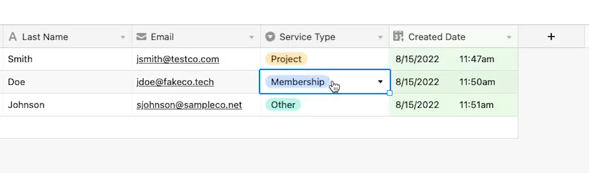 An Airtable base with multiple options for 'Service Type'